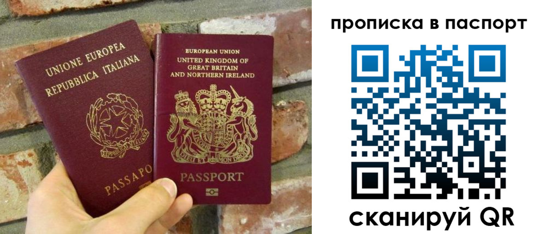прописка в Дмитрове